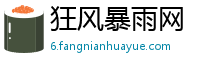 狂风暴雨网